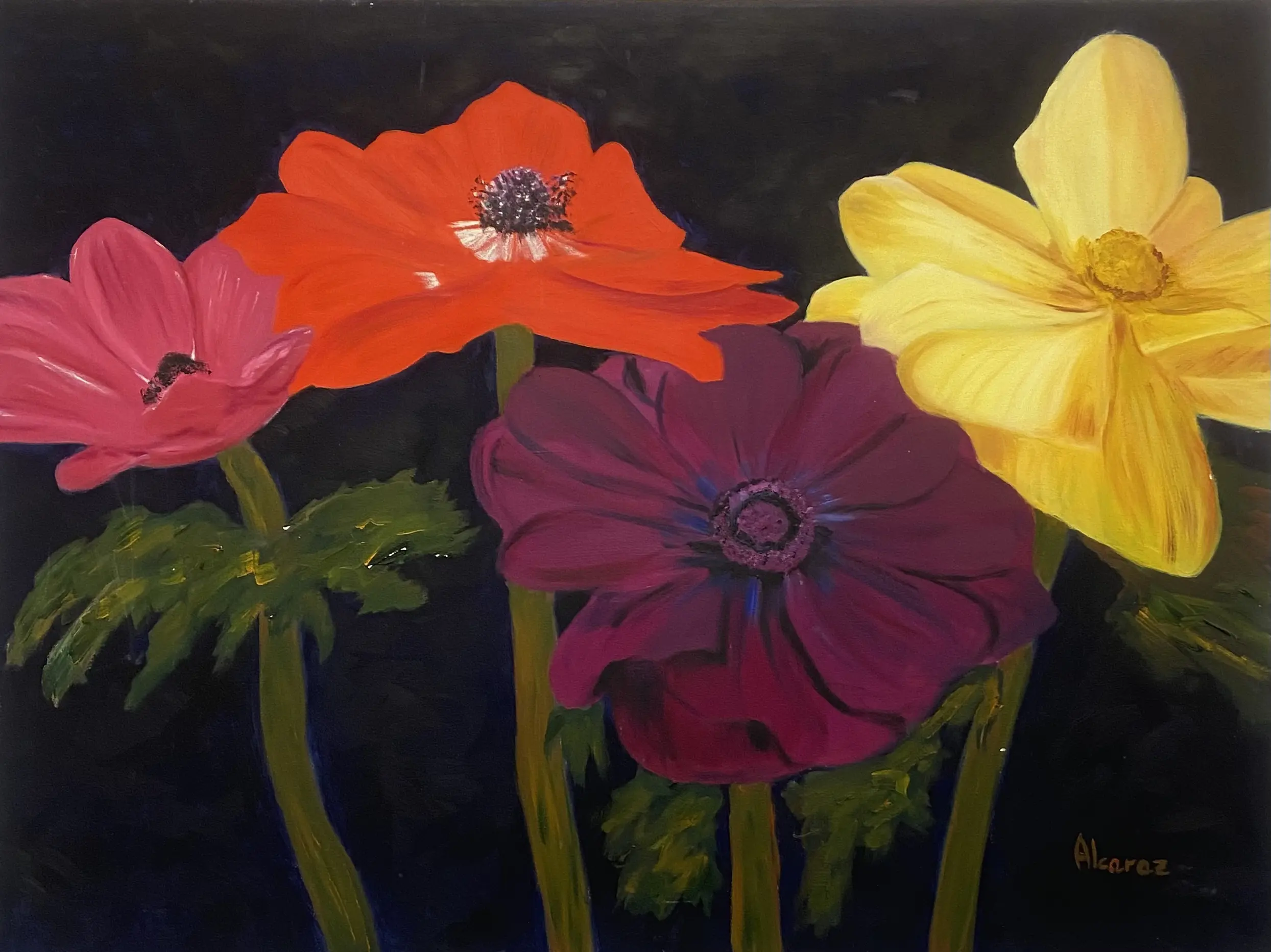 Flores de Colores