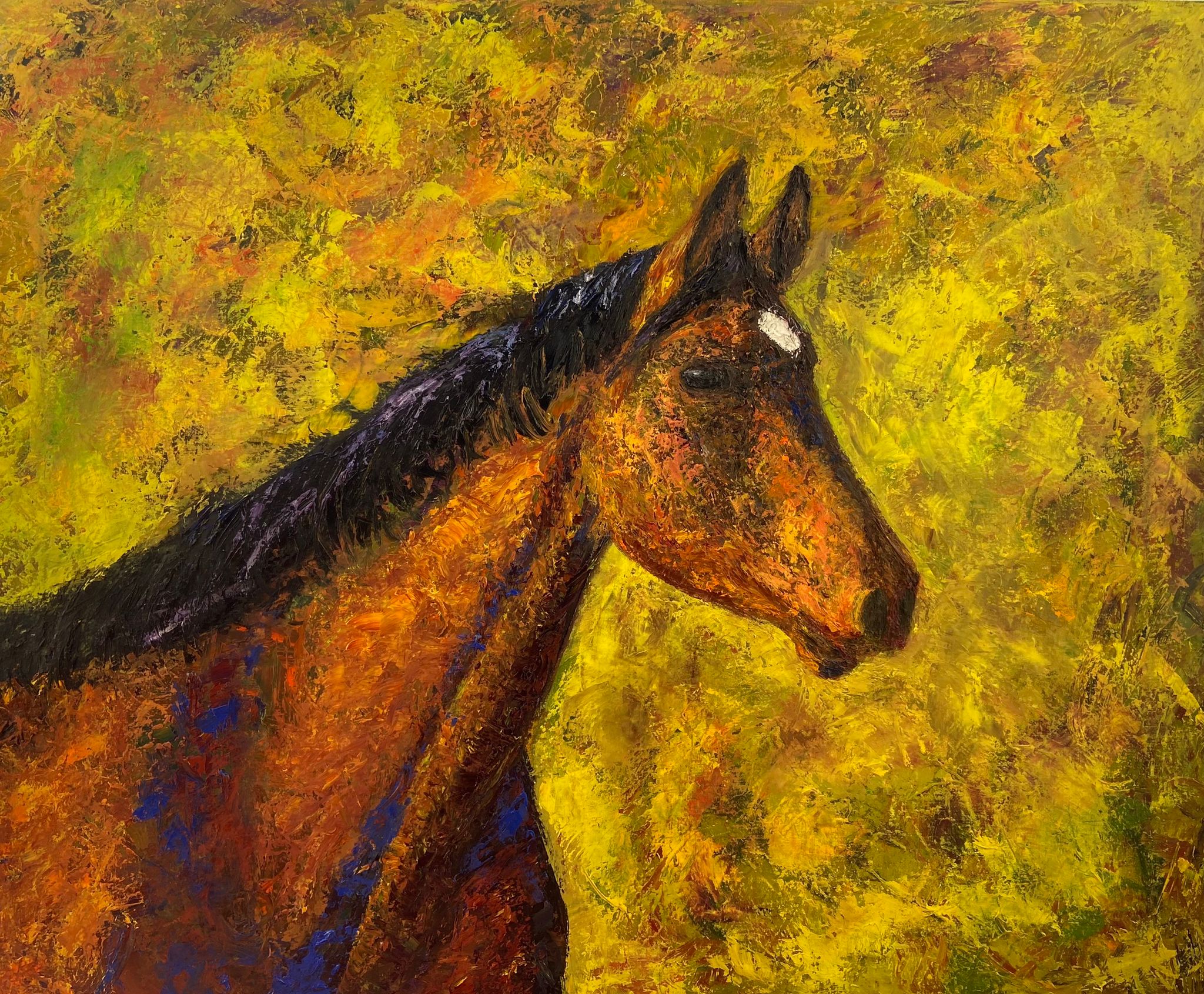 Caballo Zafiro